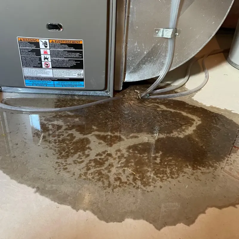 Appliance Leak Cleanup in Asheville, NC